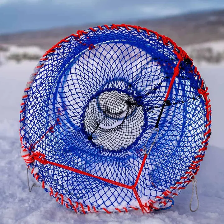 Inngang med 26 cm diameter på fisketeinen som leder fisken inn og hindrer at fangsten rømmer.